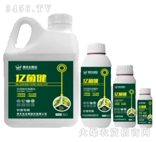 �S����΢�������-�F�컯