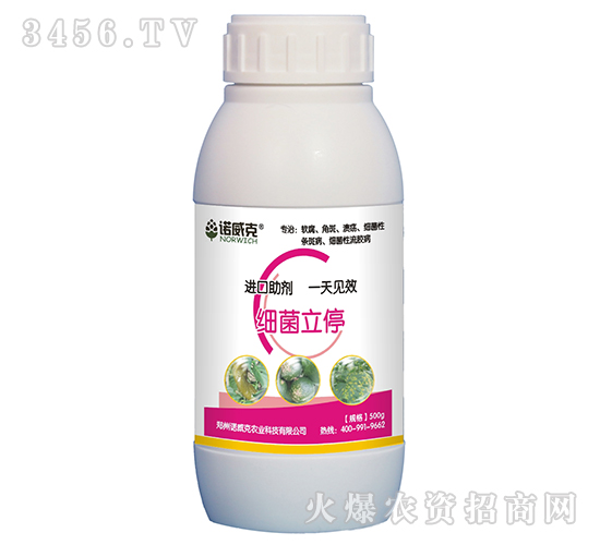 ��(x��)����ͣ-�Z����