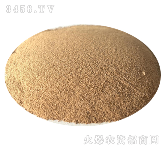 �����������-��������