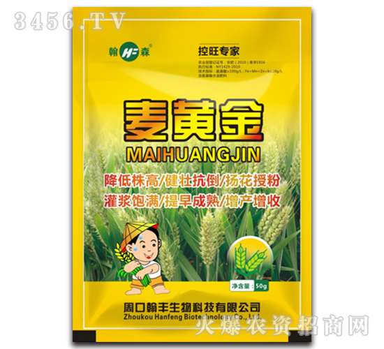 ��������-���S��-���S����