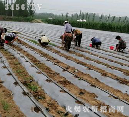 2020��鱘�ӆ�λ����Ŀ11