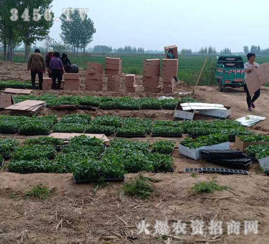 2020��鱘�ӆ�λ����(xi��ng)Ŀ10