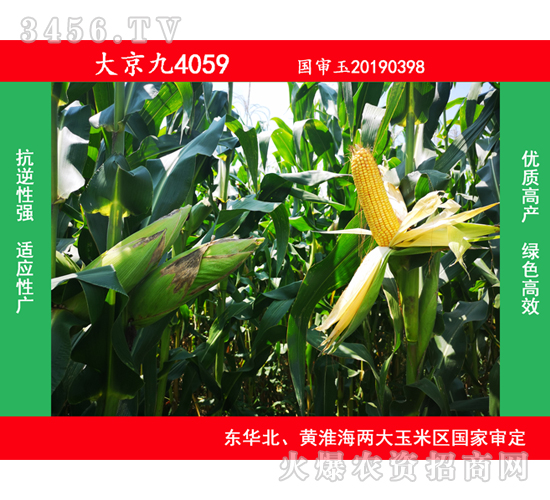 �󾩾�4059-���׷N��-�󾩾�