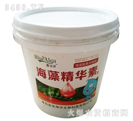 ���徫�A��-�{����-���u�{��