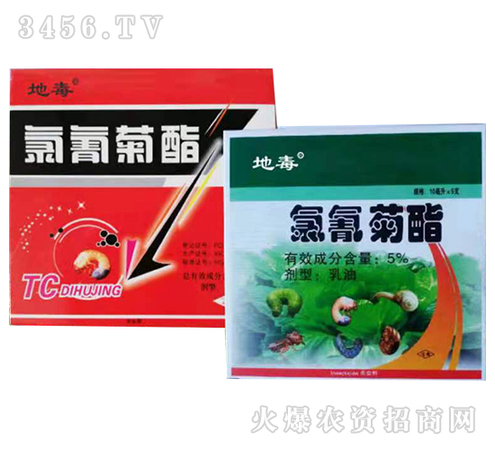 5%�������-�ض�-�����r(n��ng)�I(y��)