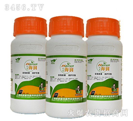 ��������(r��n)-����