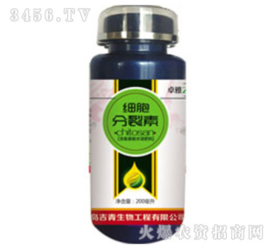 ��(x��)��������-����