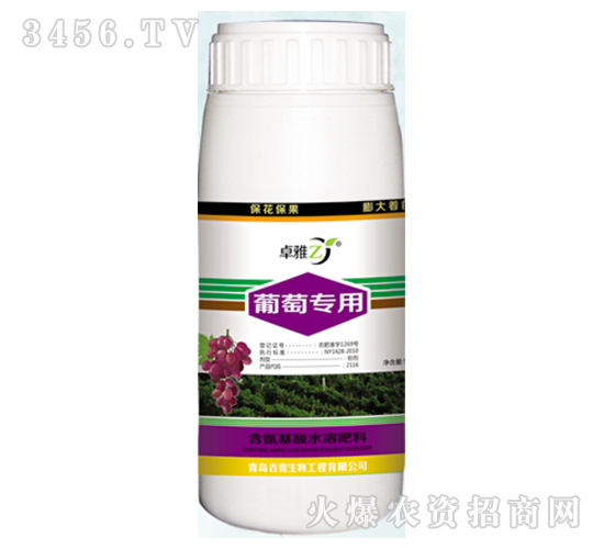 ���ь�(zhu��n)��-׿��-����