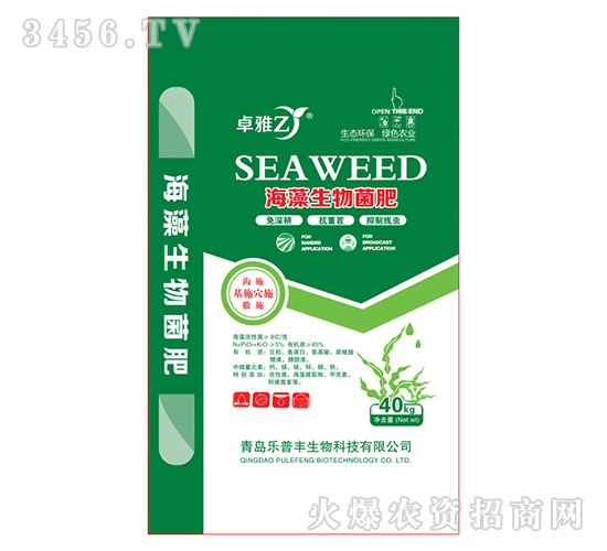 �����������-׿��-����