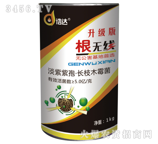 ΢�������-���o��-���_