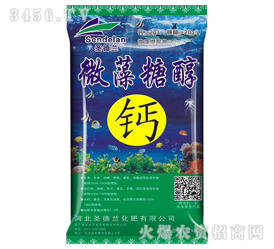 1kg΢���Ǵ��}-ʥ���m