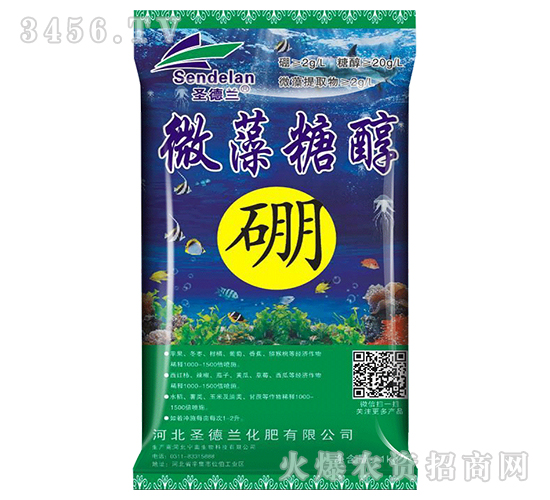 ΢���Ǵ���-ʥ���m