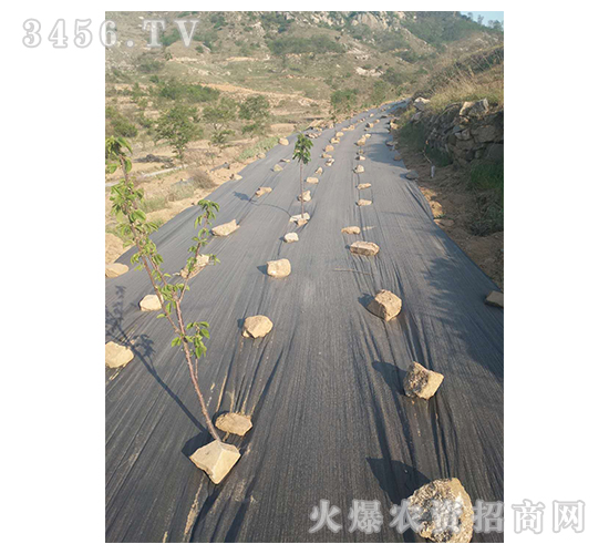 �@�ֵز�-����