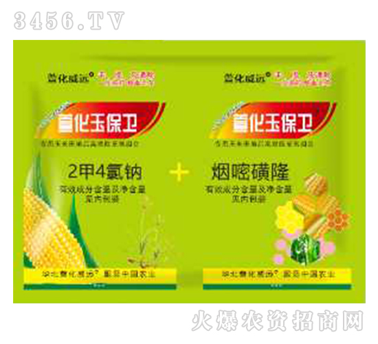 ��������݄�-�滯���l(w��i)-�滯���h