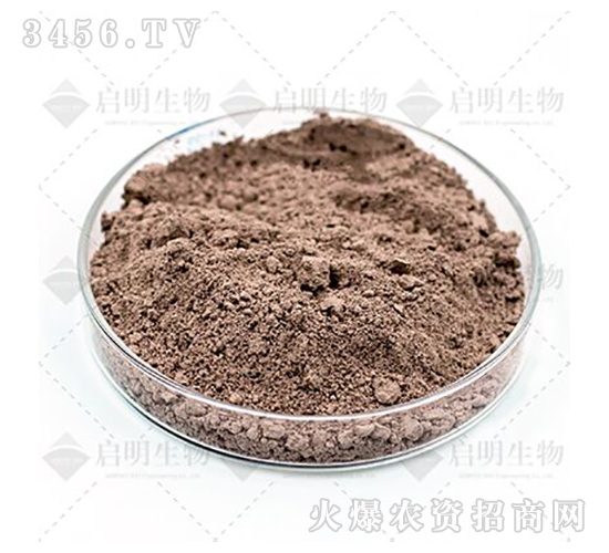 ���ϔM��ù-��������