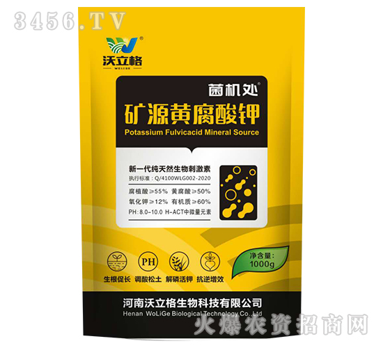 �VԴ�S�����-���C̎-������