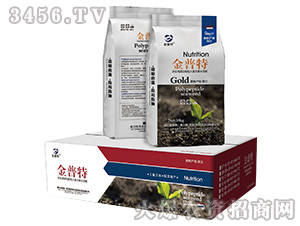 ���ĺ��幦���ʹ���Ԫ��ˮ�ܷ�-������-�Ѻ�