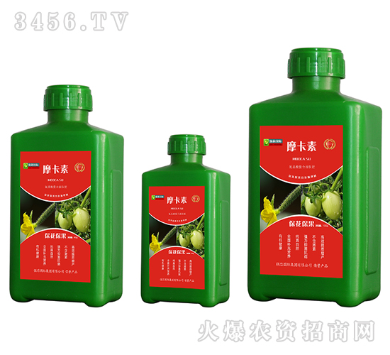 ������������������Һ�ķ�-Ħ����-��(qi��ng)о