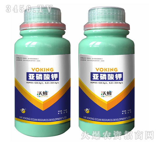 �������520-350-���L