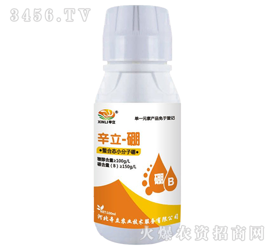 ���ϑB(t��i)С������-����