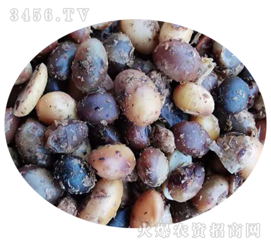 �l(f��)�ʹ��ЙC��-�T��ӯ֦