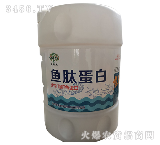 ��������~(y��)����-�~(y��)�ĵ���-�T��ӯ֦