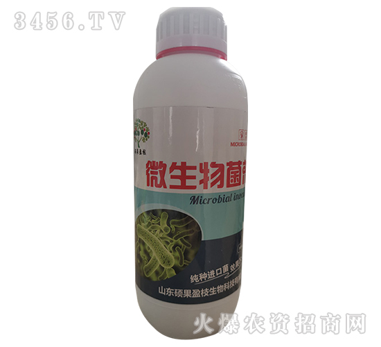 ΢�������-�T��ӯ֦