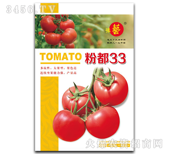 �۶�33-���t���N��-ԥˇ