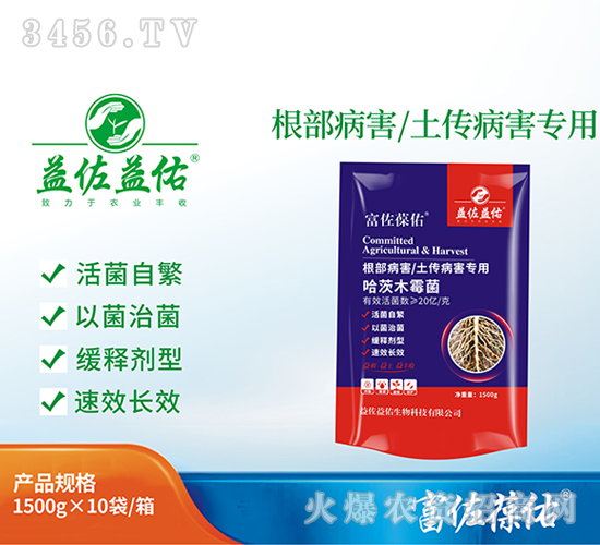 ����ľù��-��������-��������