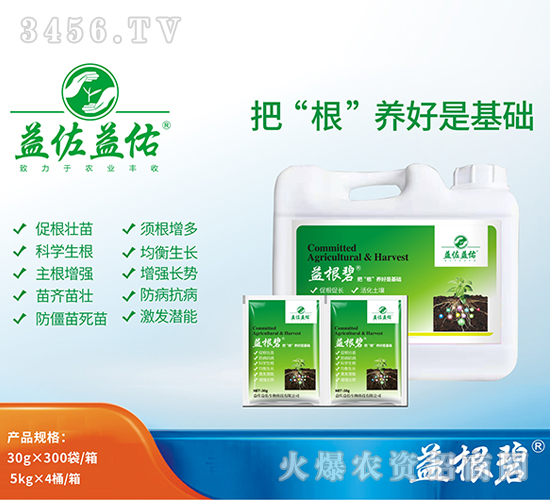 �����-�ѡ������B(y��ng)���ǻ��A(ch��)-��������