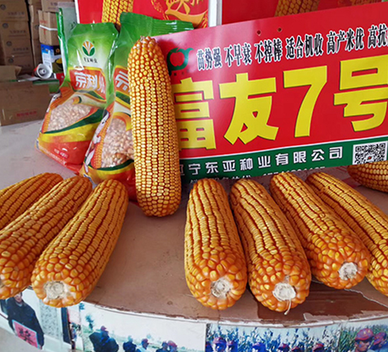 ����7̖(h��o)-���׷N��-�|��