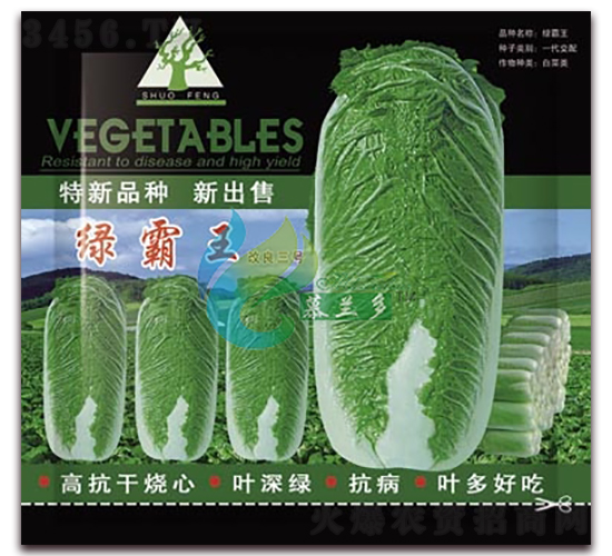 �G����-�ײ˷N��-Ľ�m��