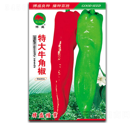 �ش�ţ�ǽ�-ţ�ǽ��N��-��ʢ�N�I(y��)