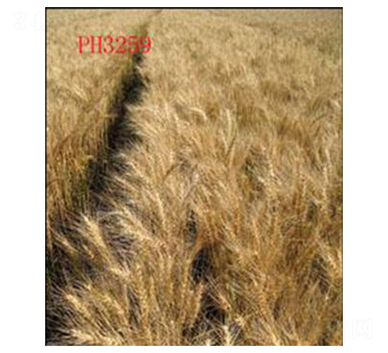 ɽ�r(n��ng)12̖(h��o)-С���N��-���N