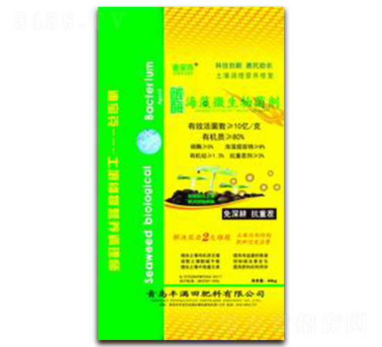 ̼ø�����������-�S�M��