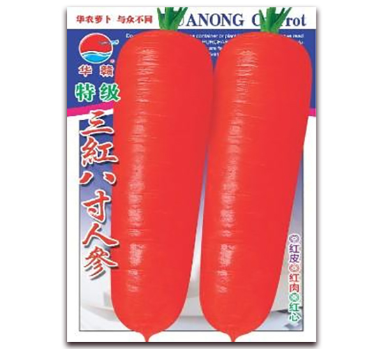 �ؼ����t�˴煢-���}���N��-�A�r(n��ng)�N�I(y��)