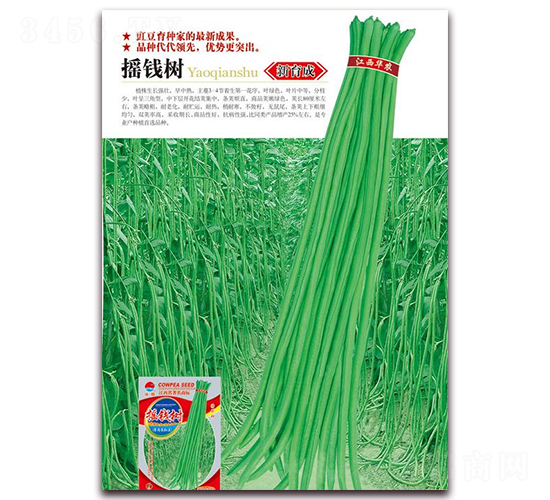 �u�X��-�����N��-�A�r(n��ng)�N�I(y��)