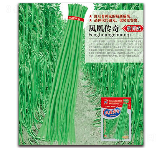 �P�˂���-�����N��-�A�r(n��ng)�N�I(y��)