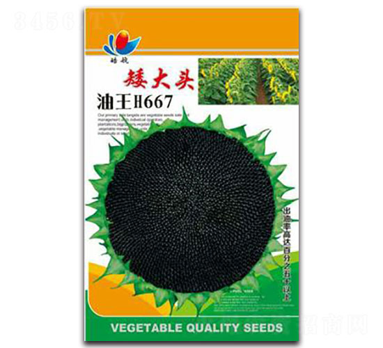 �����^����H667-�Ͳ˷N��-����