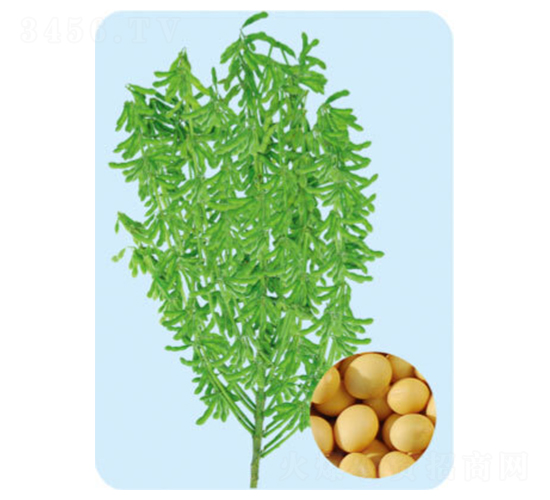 �|��68-�󶹷N��-���S�N�I(y��)