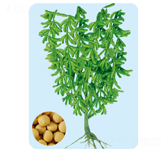 �|��22-�󶹷N��-���S�N�I(y��)