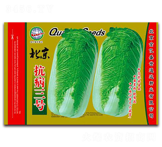 ����������̖(h��o)-�ײ˷N��-����