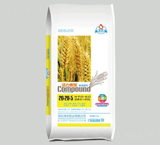 �������͓������20-20-5-���r(n��ng)��-���r(n��ng)�r(n��ng)�I(y��)