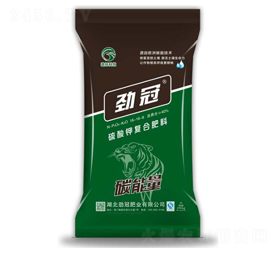 ����⛏ͺϷ���16-16-8-̼����-�Ź�