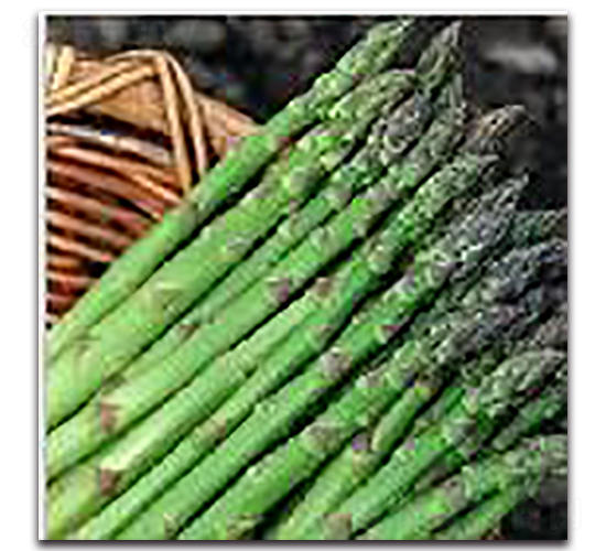 �����_-�J�S�N��-�(y��u)�r(n��ng)�I(y��)