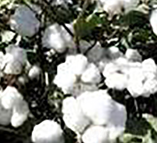 ̫����1788-�޻��N��-�(y��u)�r(n��ng)�I(y��)