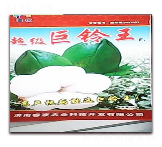 ����(j��)���?f��)?�޻��N��-�(y��u)�r(n��ng)�I(y��)