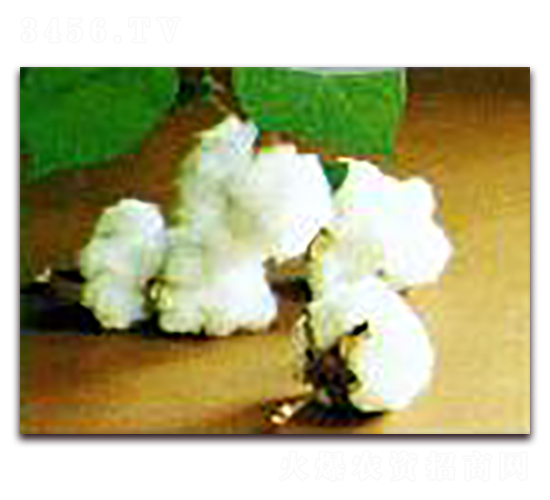 �޻���-�޻��N��-�(y��u)�r(n��ng)�I(y��)