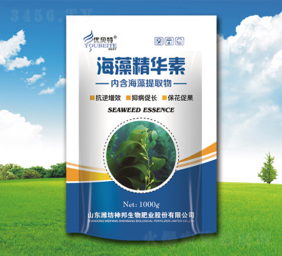 ���徫�A��-�������