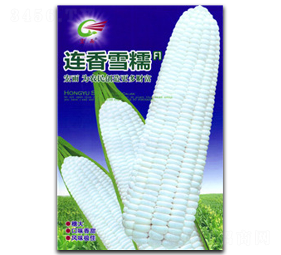 �B��ѩŴ-Ŵ���׷N��-����